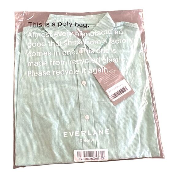 NWT Everlane Cotton Relaxed Striped Button Down Shirt Mint Size 4 - Picture 2 of 5